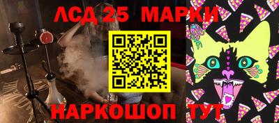 стаф Кимры