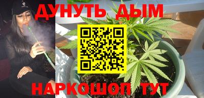 не бодяженный Кингисепп