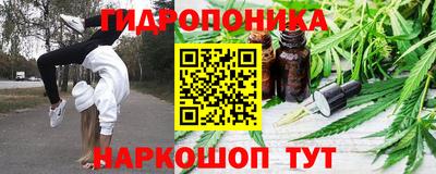 стаф Кимры
