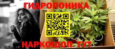 стаф Кимры