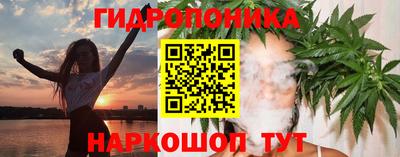 стаф Кимры