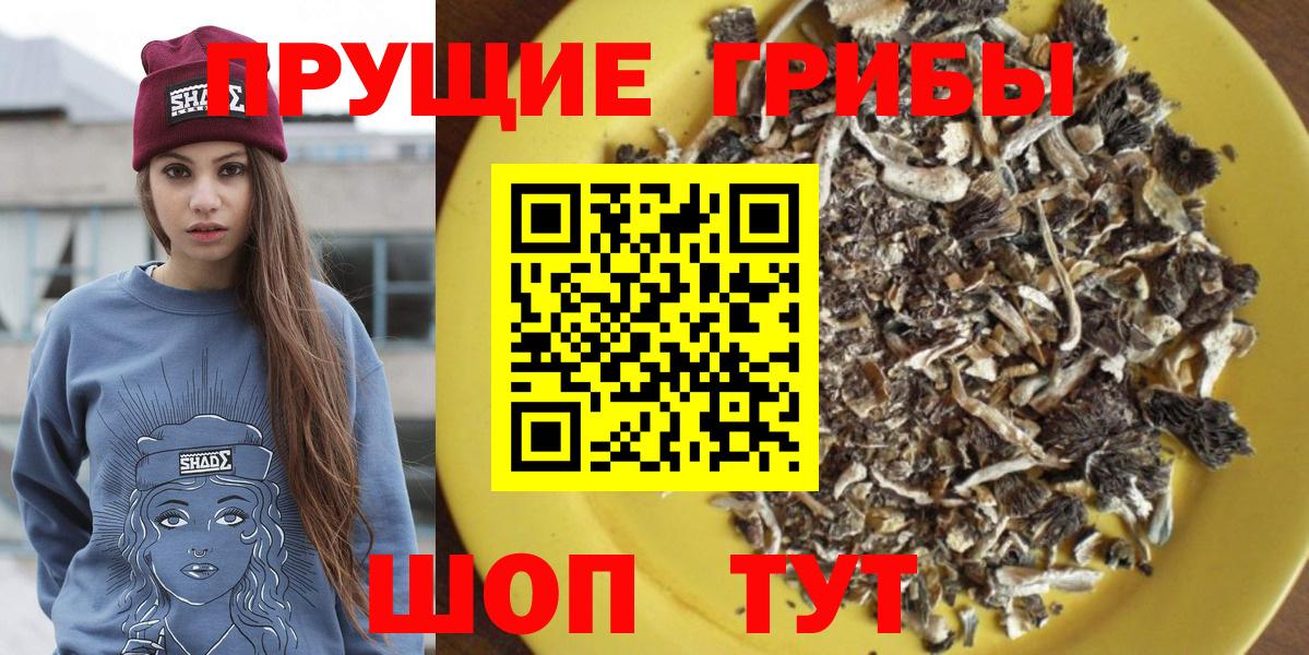 Псилоцибиновые грибы Psilocybe  Вход с VPN  Псилоцибиновые грибы мухоморы  Лабытнанги 