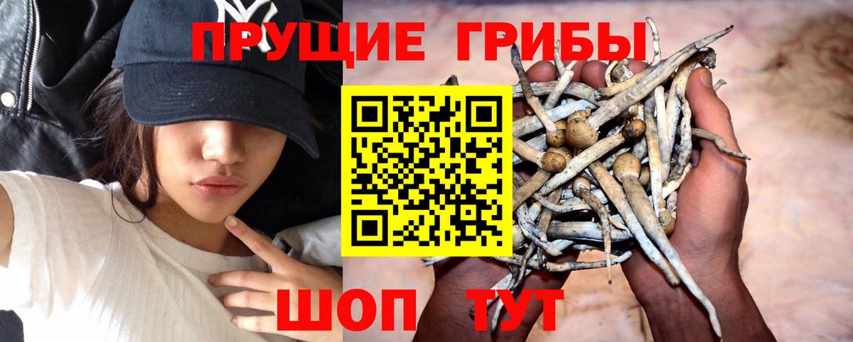 Галлюциногенные грибы Cubensis Лабытнанги